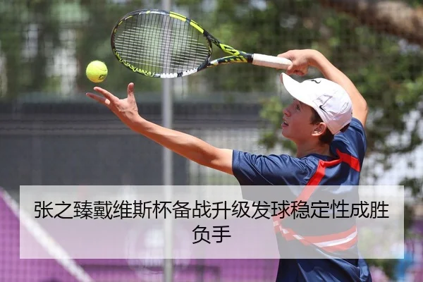 张之臻戴维斯杯备战升级发球稳定性成胜负手
