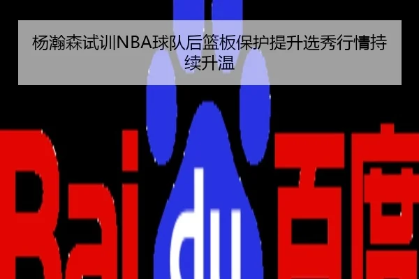 杨瀚森试训NBA球队后篮板保护提升选秀行情持续升温